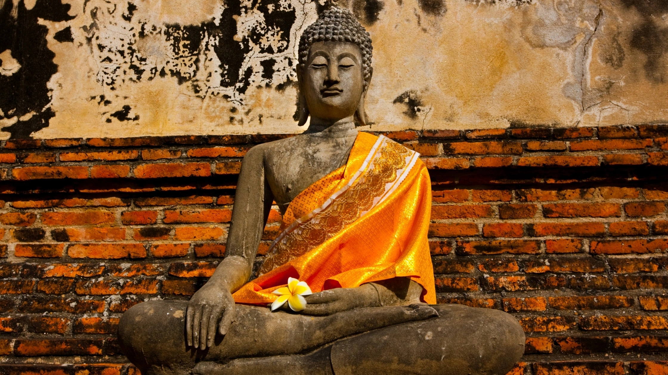 Buddhism and Zen Philosophy: The Path to Enlightenment and Inner Peace